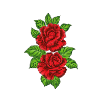 Garden Roses Flowers