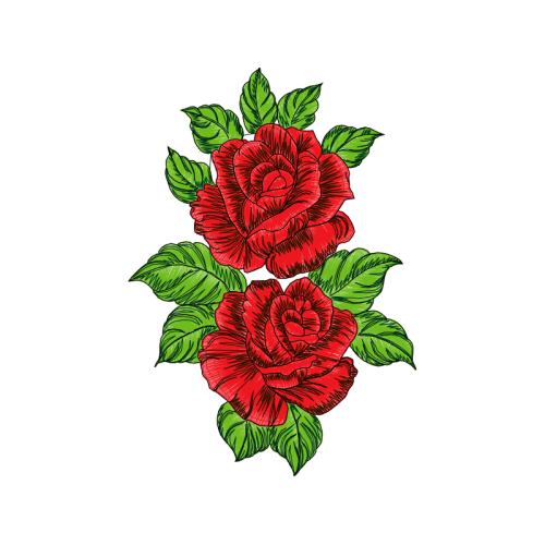 Garden Roses Flowers Garden Roses Flowers