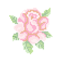 Garden Roses Flowers