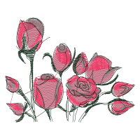 Garden Roses Flowers Garden Roses Flowers