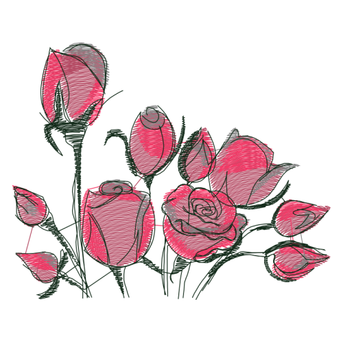 Garden Roses Flowers Garden Roses Flowers