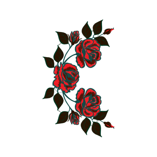 Garden Roses Flowers Garden Roses Flowers