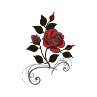 Garden Roses Flowers Garden Roses Flowers