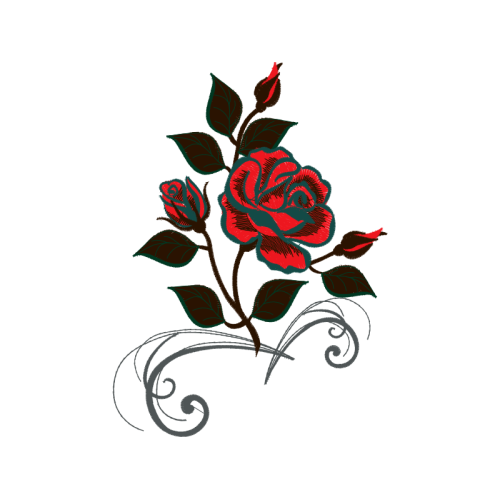 Garden Roses Flowers Garden Roses Flowers