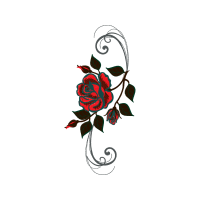 Garden Roses Flowers Garden Roses Flowers