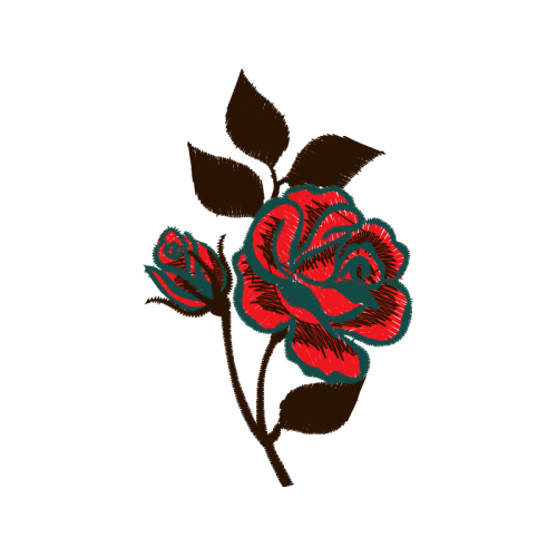 Garden Roses Flowers Garden Roses Flowers