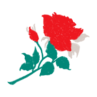 Garden Roses Flowers Garden Roses Flowers