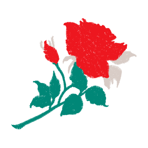 Garden Roses Flowers Garden Roses Flowers