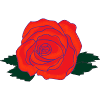 Garden Roses Flowers