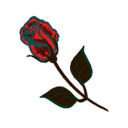 Garden Roses Flowers Garden Roses Flowers