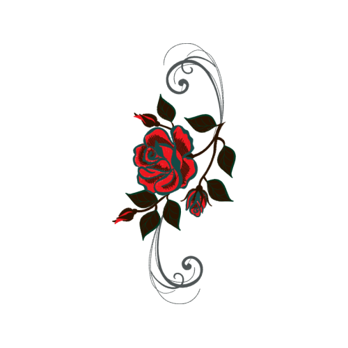 Garden Roses Flowers Garden Roses Flowers