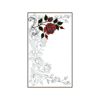 Garden Roses Flowers Garden Roses Flowers