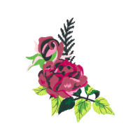 Garden Roses Flowers