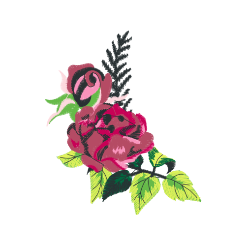 Garden Roses Flowers Garden Roses Flowers