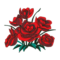 Garden Roses Flowers