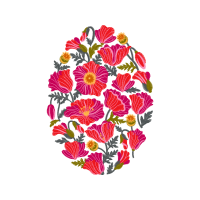 Garden Roses Flowers Garden Roses Flowers