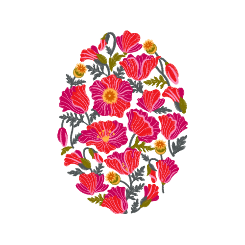 Garden Roses Flowers Garden Roses Flowers