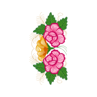 Garden Roses Flowers Garden Roses Flowers