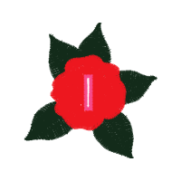 Garden Roses Flowers Garden Roses Flowers