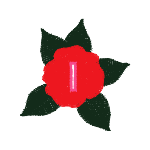 Garden Roses Flowers Garden Roses Flowers