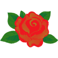 Garden Roses Flowers