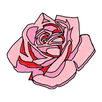 Garden Roses Flowers