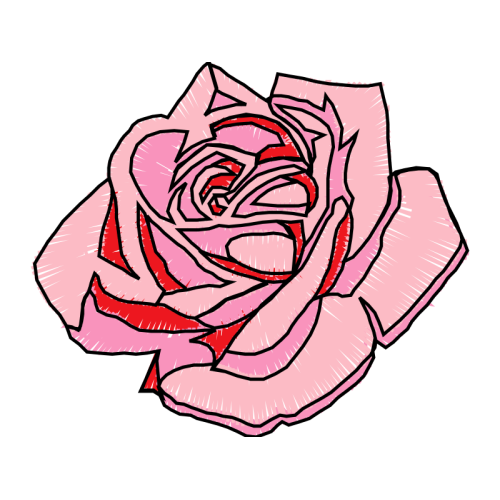 Garden Roses Flowers Garden Roses Flowers