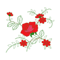 Garden Roses Flowers