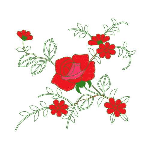 Garden Roses Flowers Garden Roses Flowers