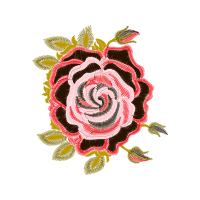 Garden Roses Flowers