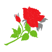 Garden Roses Flowers Garden Roses Flowers