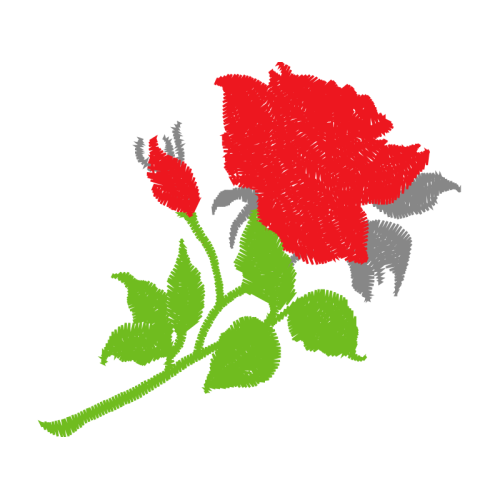 Garden Roses Flowers Garden Roses Flowers