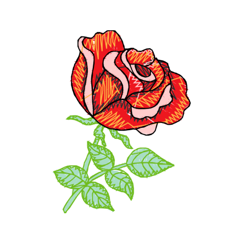 Garden Roses Flowers Garden Roses Flowers