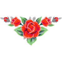 Garden Roses Flowers