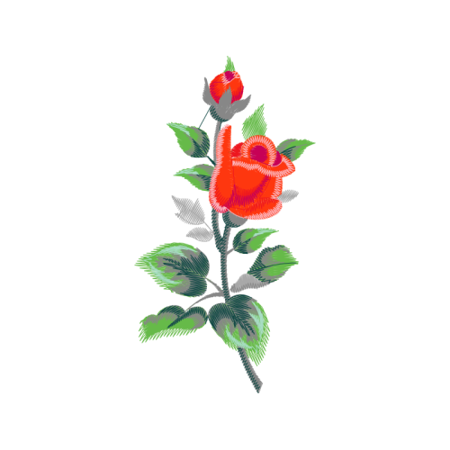 Garden Roses Flowers Garden Roses Flowers