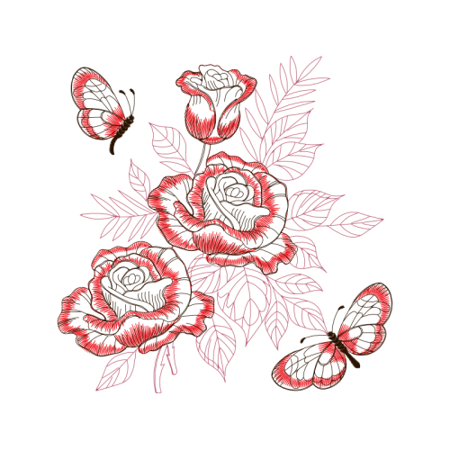 Garden Roses Flowers Garden Roses Flowers