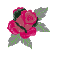 Garden Roses Flowers