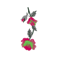 Garden Roses Flowers