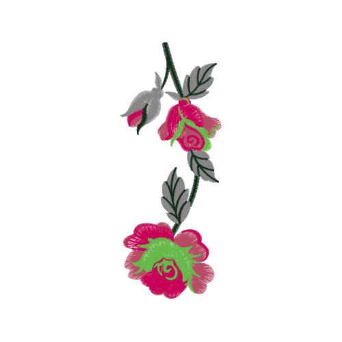 Garden Roses Flowers Garden Roses Flowers