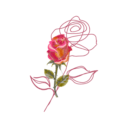 Garden Roses Flowers Garden Roses Flowers