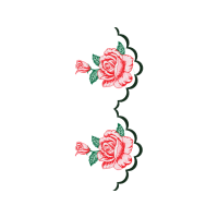 Garden Roses Flowers Garden Roses Flowers