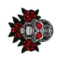 Garden Roses Flowers Garden Roses Flowers