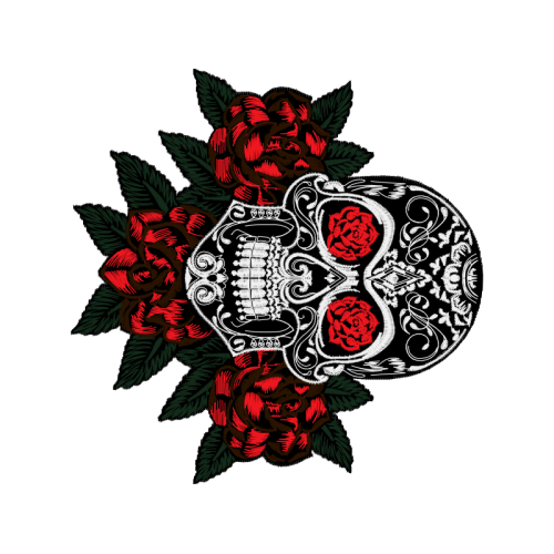 Garden Roses Flowers Garden Roses Flowers