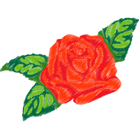 Garden Roses Flowers