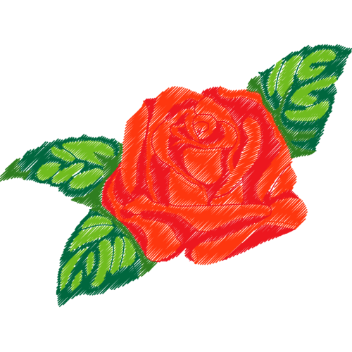 Garden Roses Flowers Garden Roses Flowers