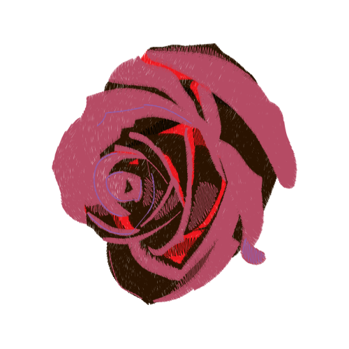 Garden Roses Flowers Garden Roses Flowers