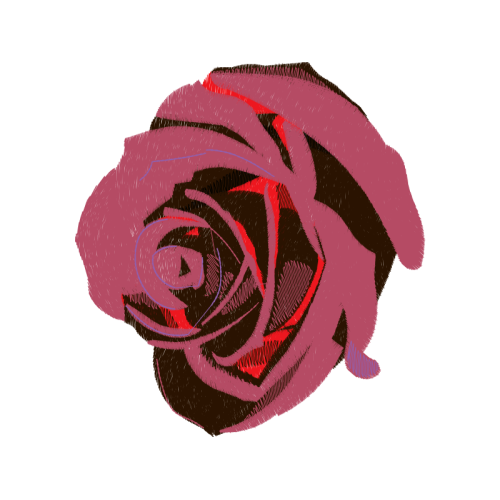 Garden Roses Flowers Garden Roses Flowers