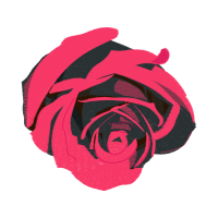 Garden Roses Flowers Garden Roses Flowers