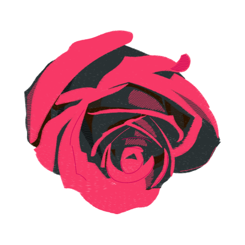 Garden Roses Flowers Garden Roses Flowers