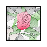 Garden Roses Flowers Garden Roses Flowers